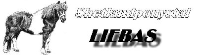 logo_liebas